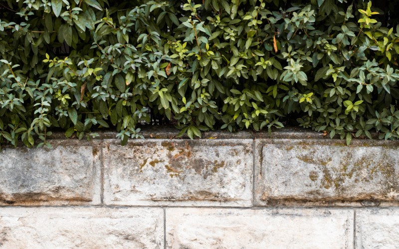 Подпорные стенки &mdash; это скелет вашего многоуровневого сада, их главная задача &mdash; удерживать огромные массы грунта от сползания