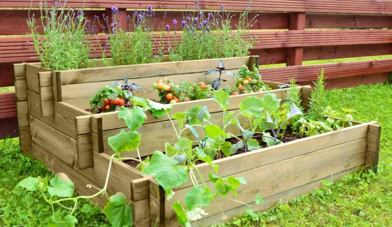 Дерево для закрытых грядок