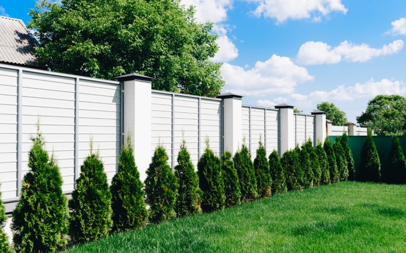 Зеленые насаждения — гордость любого садовода, но именно они становятся причиной самых затяжных и эмоциональных конфликтов