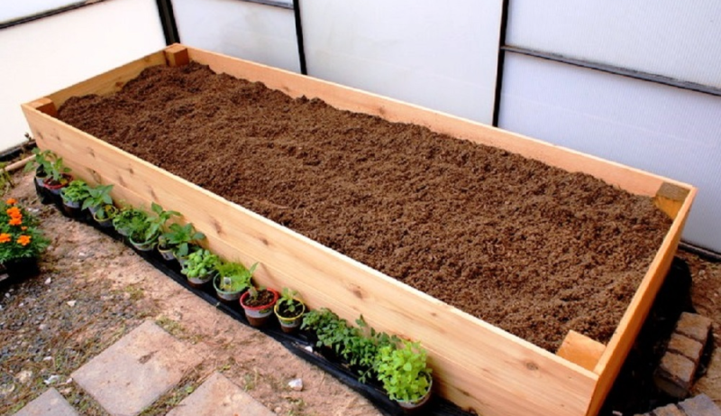 Необработанные пиломатериалы