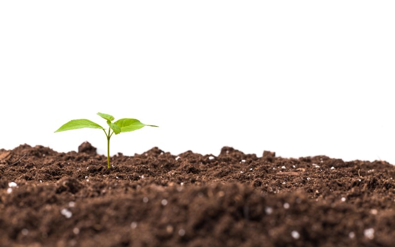 Кислотность почвы (pH) &mdash; это, пожалуй, самый важный показатель, который дачники часто игнорируют