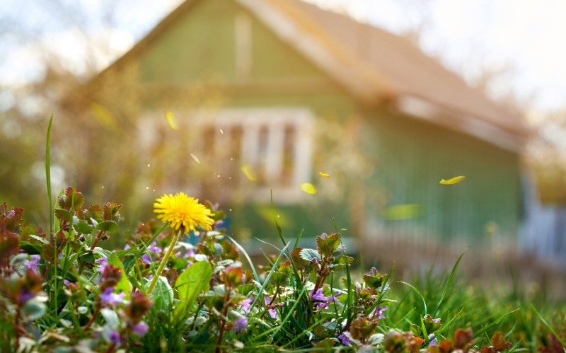 Старый сад — это главная ценность наследства, которую невозможно купить за деньги