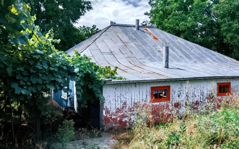 Главный враг старого дома — не время, а вода: если крыша не текла последние 10 лет, шанс на спасение и ревитализацию велик
