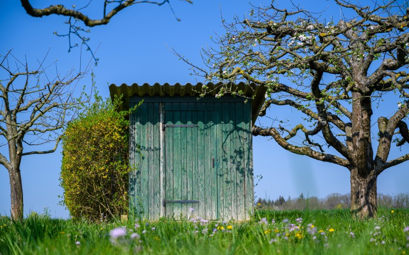 Собственный участок &ndash; это свобода действий и независимость от коммунальщиков, в том числе, что касается санузла