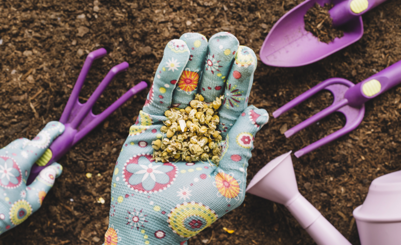 Органика - экологичный и безопасный способ удобрять растения