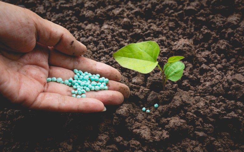 Органические удобрения многоэлементные и, как правило, имеют богатый состав, минеральные – более узконаправленные