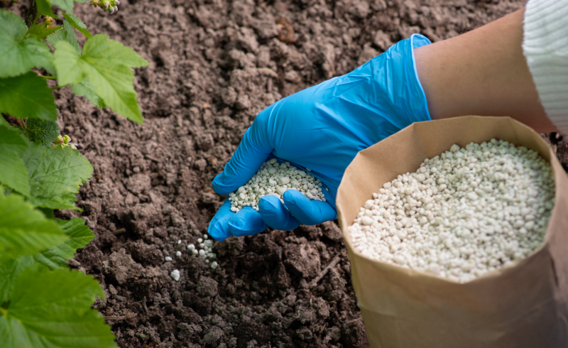 Наряду с органикой можно применять готовые смеси для удобрения