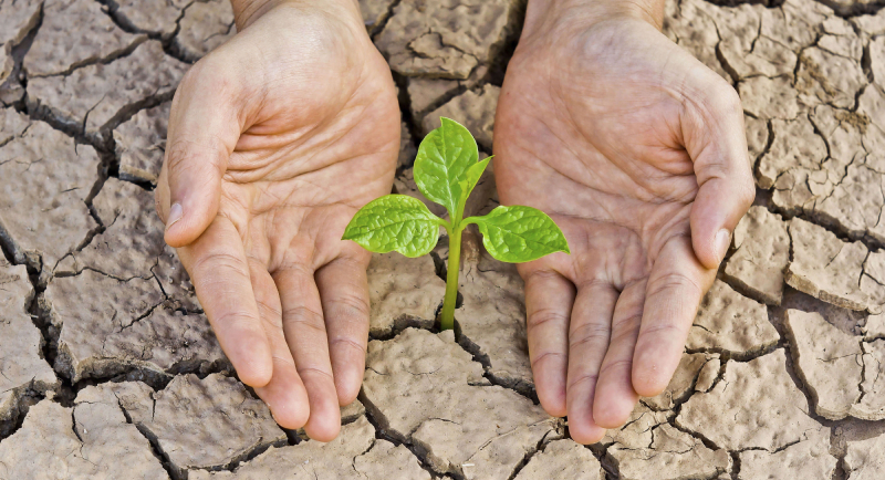 Потрескавшаяся почва