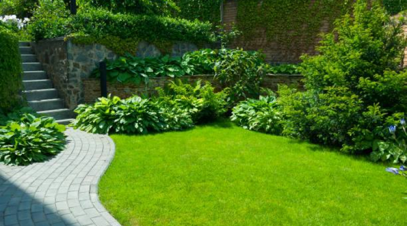 Декоративные насаждения