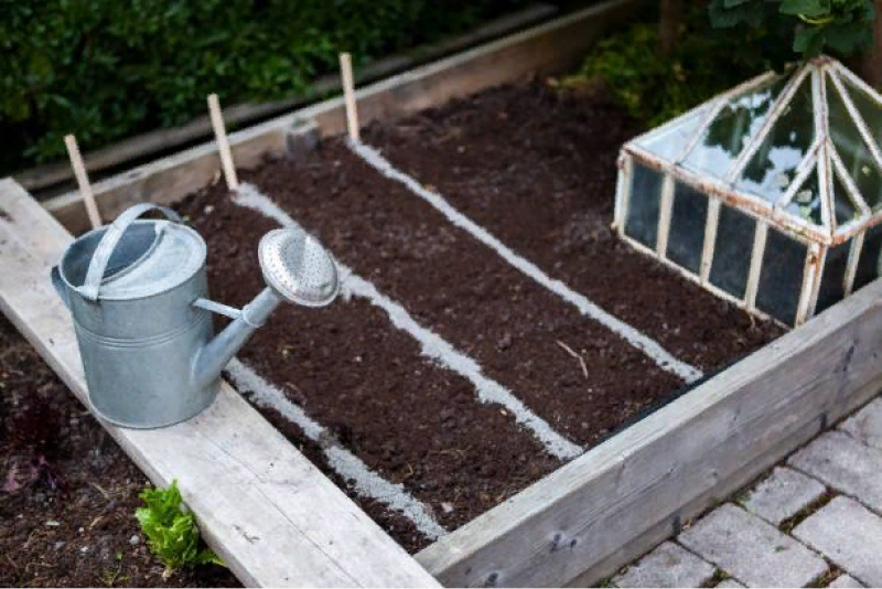 Дезинфекция теплицы