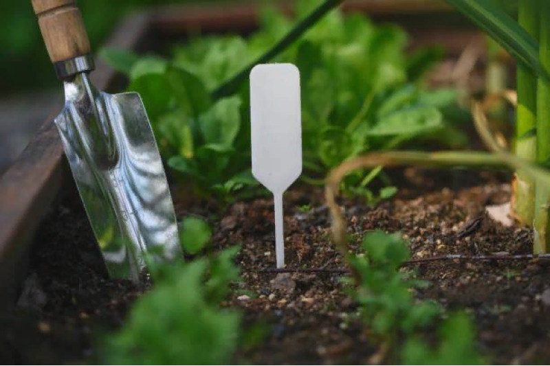 Основные этапы уборки