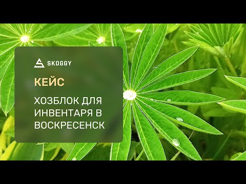 Кейс: Хозблок-мастерская 5 м SKOGGY в Воскресенск