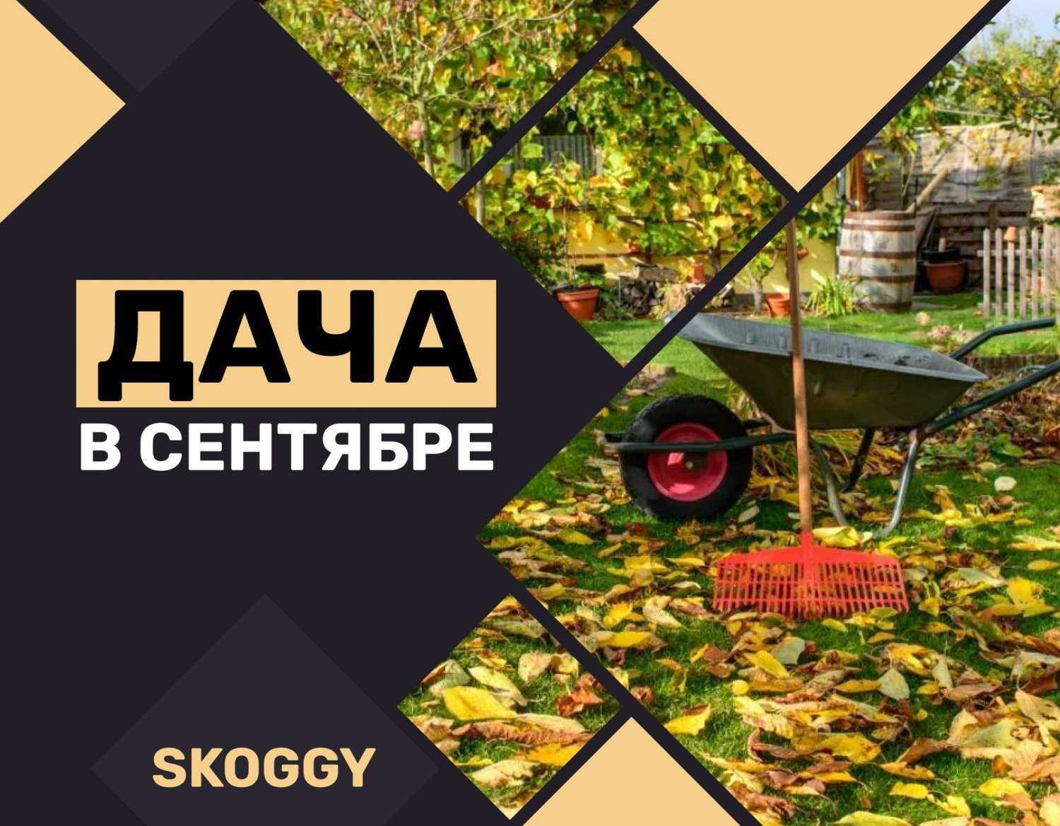 Дача в сентябре: работы в осенний период | SKOGGY