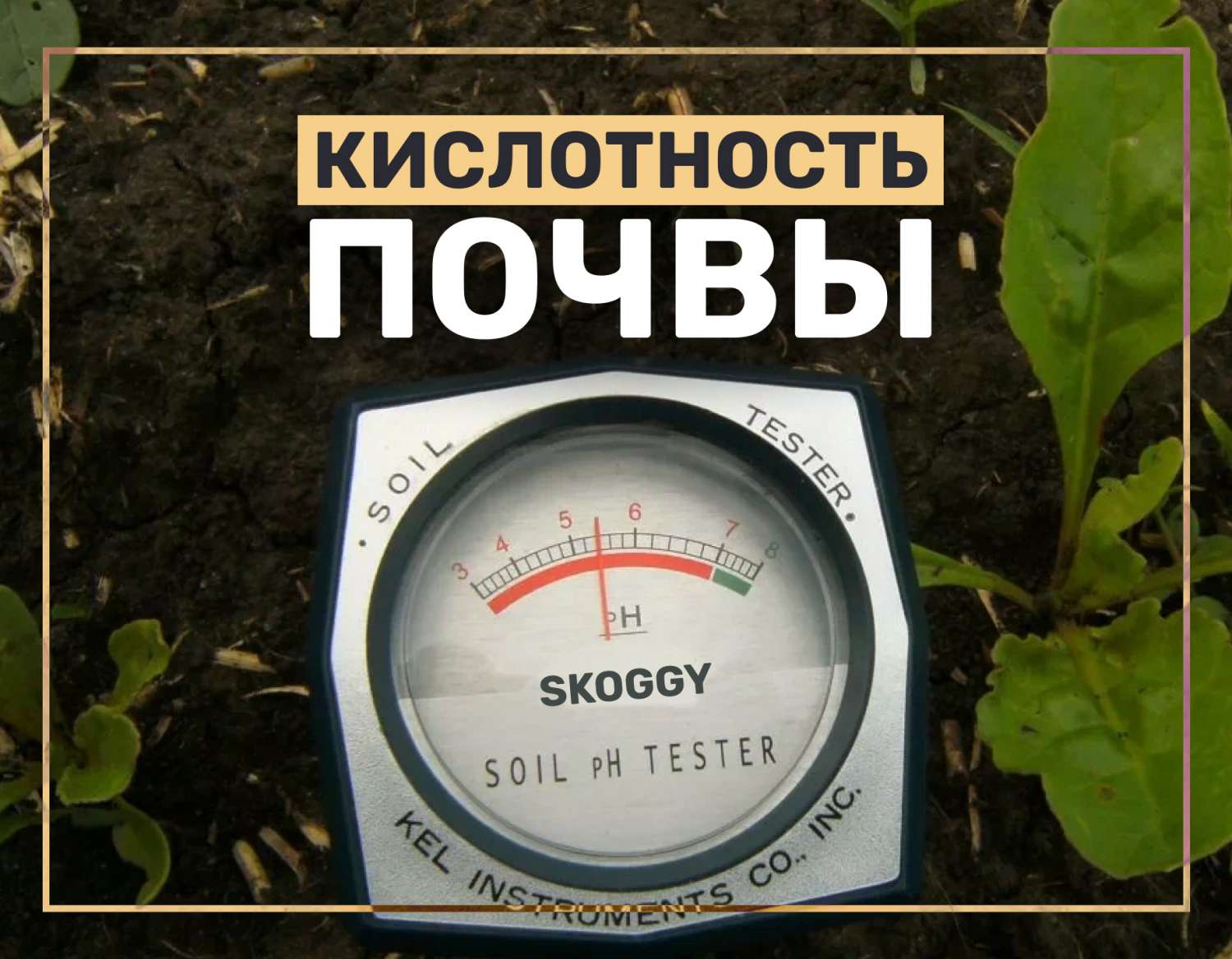 Кислотность почвы | SKOGGY