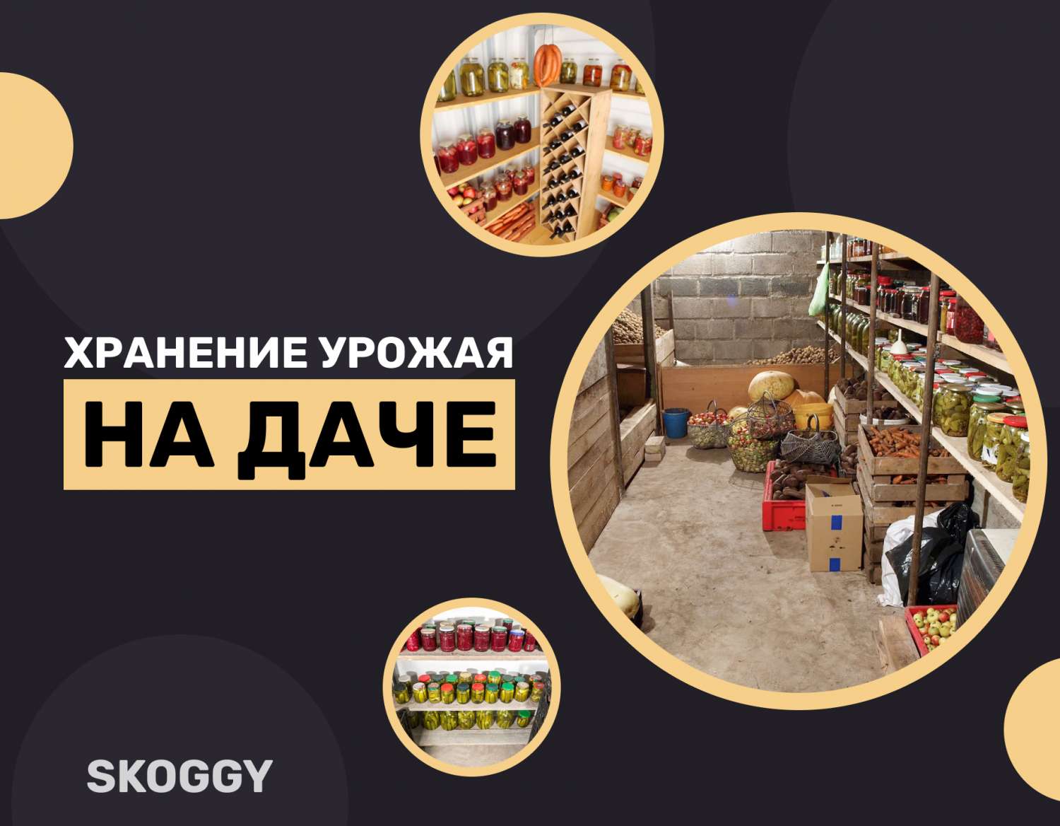 Хранение урожая на даче: какое помещение выбрать | SKOGGY