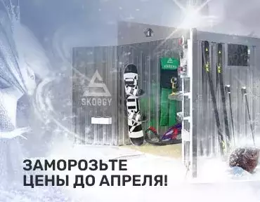 Заморозка цены на блок контейнер SKOGGY