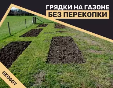 Грядки на газоне Грядки на газоне