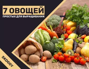 Выращивание огорода Выращивание огорода