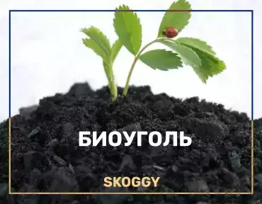 Биоуголь на даче Биоуголь на даче