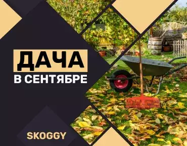 Дача в сентябре Дача в сентябре
