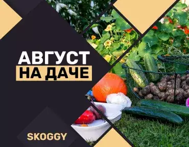 Что посадить в августе на даче Что посадить в августе на даче