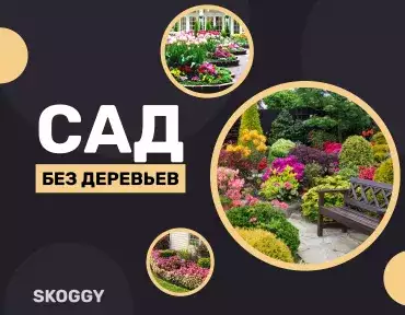 Сад без деревьев Сад без деревьев
