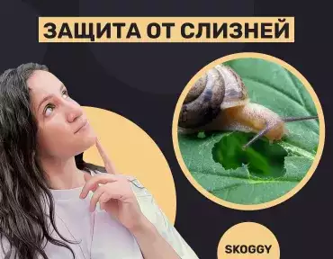 Защита от слизней Защита от слизней