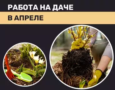 Работа на даче в апреле Работа на даче в апреле
