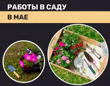 Работа на даче в мае Работа на даче в мае