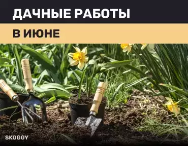 Дачные работы в июне Дачные работы в июне