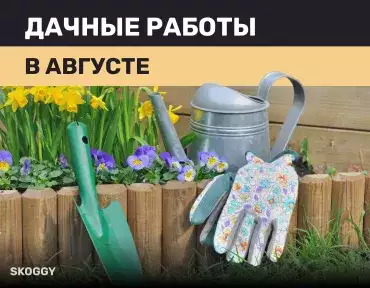 Дачные работы в августе Дачные работы в августе