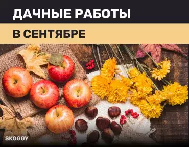 Работы на даче в сентябре Работы на даче в сентябре