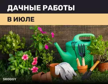 Дачные работы в июле Дачные работы в июле