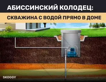 Абиссинский колодец Абиссинский колодец
