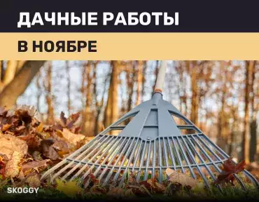 Дачные работы в ноябре Дачные работы в ноябре