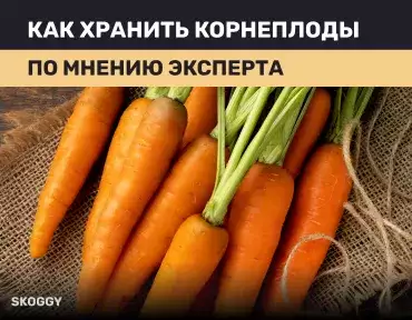 Хранение корнеплодов Хранение корнеплодов
