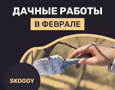 Дачные работы в феврале Дачные работы в феврале