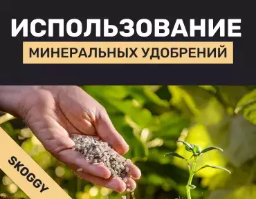 Применение минеральных удобрений Применение минеральных удобрений
