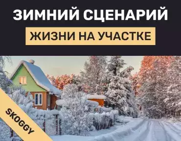 Зимний сценарий жизни на участке