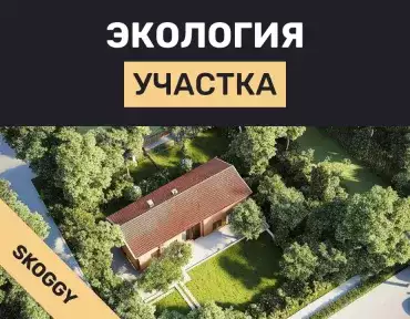 Экология участка: анализ почвы и ее улучшение