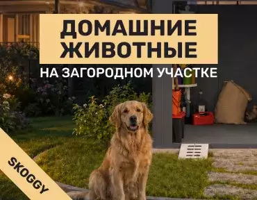 Домашние животные на загородном участке: вольер, будка, безопасность