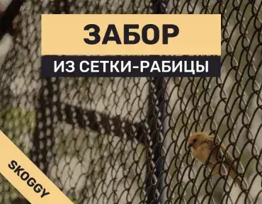 Забор из сетки-рабицы: когда стоит выбрать и как установить