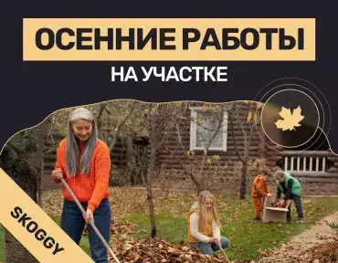 Осенние работы на участке: подготовка к холодам — обрезка, грядки, укрытие растений