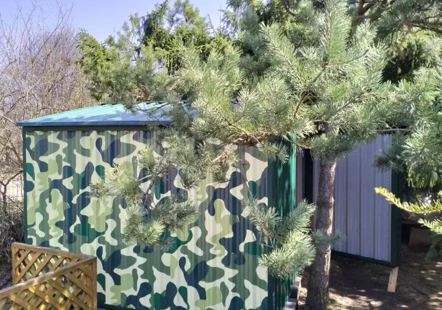 Яркий хозблок в СТ Первомайское, Павлово-Посадский р-н, МО